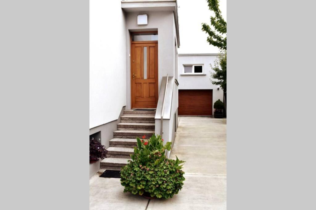 Modern Apartment In تارنوف المظهر الخارجي الصورة